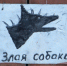 Бродячие собаки разодрали жеребенка в Якутии - YakutiaMedia.Ru