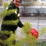 Зеленый десант продолжается - SakhaPress.Ru