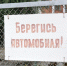 Депутат Ил Тумэн, находясь, предположительно, в алкогольном опьянении, сбил трех пешеходов - YakutiaMedia.Ru