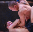 Якутские бойцы выйдут на октагон турнира Fight Night - YakutiaMedia.Ru