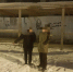 925e1539-2285-404a-abf6-1ba3677b3224-800x600 - ИА SakhaLife.Ru