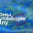 Законы, вступающие в силу 3 февраля - Государственное Собрание РС(Я)