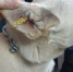 WhatsApp Image 2020-02-12 at 3.53.20 PM - ИА SakhaLife.Ru