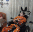 a02.JPG - ИА SakhaTime