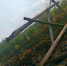 Энергетики ЗЭС восстановили еще одну ЛЭП, пострадавшую в результате природных пожаров - Министерство ЖКХ и энергетики РС(Я)