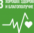 В СВФУ обсудили современные подходы к лечению гепатита - СВФУ им. М.К. Аммосова