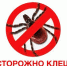 О мерах профилактики клещевого вирусного энцефалита - Министерство здравоохранения РС(Я)