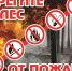 Ответственность за нарушение правил пожарной безопасности в лесу - Министерство охраны природы РС(Я)