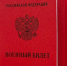 Российский Телеграм с тревогой обсуждает  проблемы на местах с мобилизацией - ИА SakhaLife.Ru