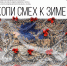 Выставка «Копи смех к зиме» - Управление культуры г. Якутска