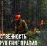 ОТВЕТСТВЕННОСТЬ ЗА НАРУШЕНИЕ ПРАВИЛ ПОЖАРНОЙ  БЕЗОПАСНОСТИ В ЛЕСУ - Министерство охраны природы РС(Я)