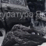 На автодороге "Лена" в результате ДТП погиб водитель - ГТРК Саха