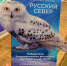 Замдиректора ГТРК «Саха» — лауреат фестиваля «Русский Север» в Магадане - ИА SakhaLife.Ru