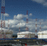 Более 5000 экологических исследований выполнили в компании «Транснефть – Восток» в первом полугодии - Якутское-Cаха ИА