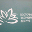 В новых нацпроектах будут предусмотрены отдельные разделы для развития Дальнего Востока - Якутское-Cаха ИА