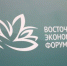 В новых нацпроектах будут предусмотрены отдельные разделы для развития Дальнего Востока - ГТРК Саха