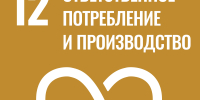 Итоги реализации Программы развития СВФУ в 2024: обновлены студенческие пространства - СВФУ им. М.К. Аммосова