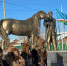 В Якутии проходят мероприятия ко Дню коневода-табунщика - Якутское-Cаха ИА