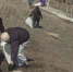 В Якутске работы по санитарной очистке продолжатся в усиленном режиме в течение летнего сезона - ГТРК Саха