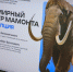 Якутия представит Всемирный центр мамонта на ВЭФ-2025 - Якутское-Cаха ИА