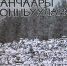 Манчаары бастыҥ быһыйдара - ИА SakhaLife.Ru