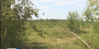 За сутки в Якутии ликвидировано восемь лесных пожаров - ГТРК Саха