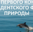 Три экологических проекта Якутии выиграли гранты Президентского фонда природы - ГТРК Саха