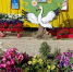 Пришла жара: погода на 21 августа - ИА SakhaTime