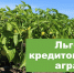 Минсельхоз Якутии рассказал о льготном кредитовании сельхозтоваропроизводителей - Министерство сельского хозяйства