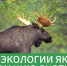 Объявление о переносе даты и времени проведения повторной жеребьевки с использованием генератора случайных чисел по распределению разрешений на добычу охотничьих ресурсов,  на которых устанавливается лимит их добычи - Минэкологии РС(Я)