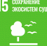 Студенты-экологи СВФУ провели полевые работы в Оймяконском и Алданском районах Якутии - СВФУ им. М.К. Аммосова