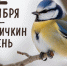 12 ноября - Синичкин день - Минэкологии РС(Я)