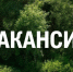 Минэкологии Якутии объявляет о конкурсе на вакантную должность - Минэкологии РС(Я)