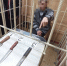 Житель города Нерюнгри признан виновным в убийстве - Следственный комитет
