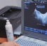 В Якутии стартовала неделя профилактики заболеваний желудочно-кишечного тракта - ГТРК Саха