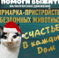 Якутян приглашают посетить зимнюю ярмарку-пристройство бездомных животных «Счастье в каждый дом» - ИА SakhaTime