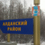 Приют для бродячих животных откроют в Алдане после нападения собак на 16 человек - ИА SakhaTime