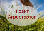15 начинающих фермеров получили поддержку на «Агростартап»