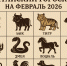 Китайский гороскоп на февраль 2026 - ИА SakhaLife.Ru