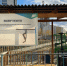 Четыре адреса в Якутске вошли в число победителей программы «Благоустройство дальневосточных дворов» - Городская Дума