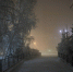 Пока в Якутии была ночь: переговоры в Женеве, отставка президента Перу, полное затмение Солнца - Якутское-Cаха ИА