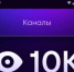 Пользователям MAX стал доступен счётчик просмотров в каналах - ГТРК Саха