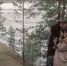 Якутский фильм «Белый пароход» вышел в российских онлайн-кинотеатрах - Якутское-Cаха ИА