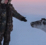 Якутский феномен: резкий рост диких копытных - Yakutia-Daily.Ru