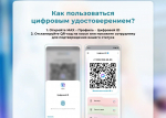 Оформить цифровое удостоверение многодетной семьи, пенсионера или гражданина с инвалидностью в MAX стало ещё проще