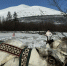 Стартовал фестиваль «Путешествие на «Полюс холода – 2026»» - Yakutia-Daily.Ru