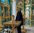 img - ЛДПР