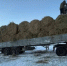 Абый улууһун сүөһүлэригэр от, эбии аһылык тиэрдилиннэ - Правительство Республики Саха (Якутия)