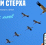 Якутия запускает мониторинг миграции стерха - Yakutia-Daily.Ru