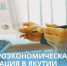 Макроэкономическая ситуация в Якутии - Минэкономики РС(Я)